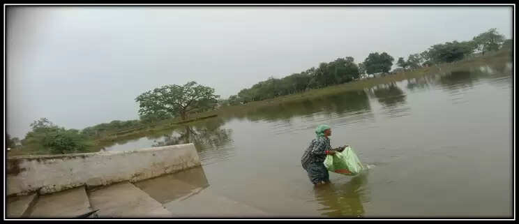 CG News: अमृत सरोवर बना आत्मनिर्भरता का स्रोत: दुर्ग की&nbsp;करीब 650 महिलाओं को मिला रोजगार