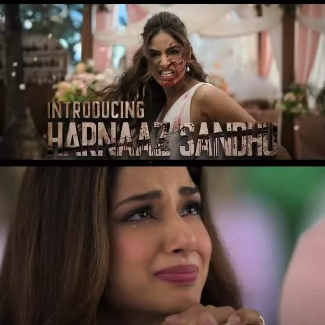 Miss Universe Harnaaz Sandhu makes an action-packed impression as the leading lady in Baaghi 4; teaser out now