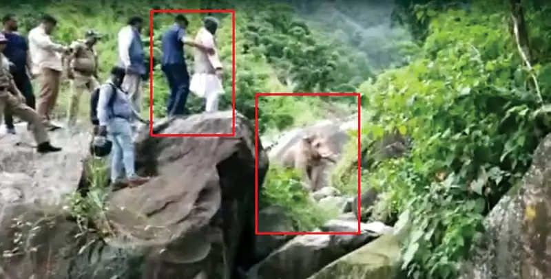 देहरादून में गुस्सैल गजराज से हुआ पूर्व CM का सामना, हाथी ने दौड़ाया, पत्थर पर चढ़े त्रिवेंद्र सिंह रावत