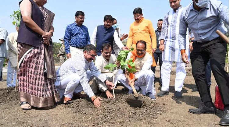 MP News: मुख्यमंत्री शिवराज सिंह चौहान ने गार्डन में मोहगनी का पौधा लगाया