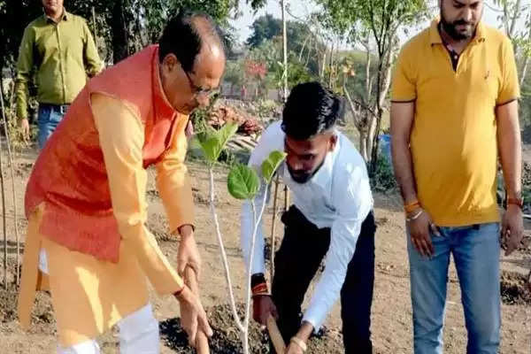 CM शिवराज सिंह चौहान के साथ पत्रकार संजीव शर्मा ने भी अपने जन्म-दिवस पर पौधे लगाए
