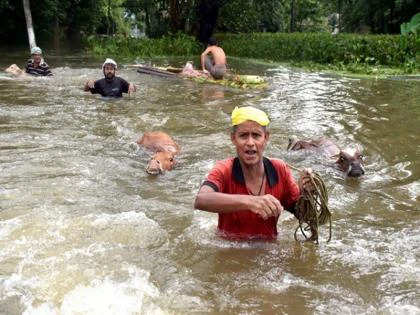  बाढ़ से गहराया संकट 131 लोगों की मौत